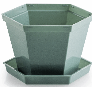NU-BEE-HEX-POT-AND-SAUCER Sage Leaf