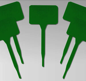 16cm Plant Marker Lime