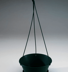 20cm Hanging Bowl Green