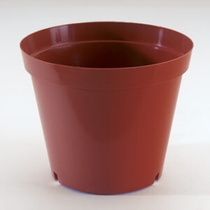 15cm Pot Terracotta