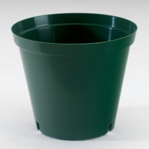 10cm Green pot