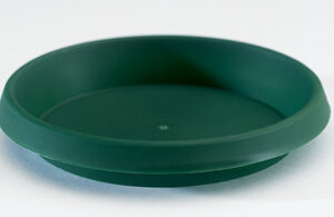10cm Saucer Green